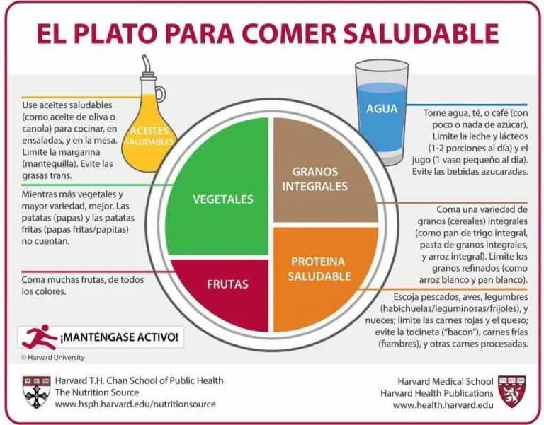 salud del intestino